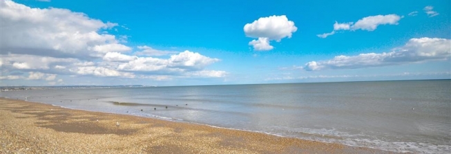 Pet Friendly Accommodation in St Marys Bay to Rent